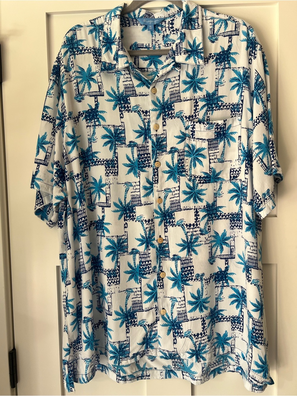 BLUE GINGER Men’s XL Hawaiian Short Sleeve Button Up Shirt Vacation Resort